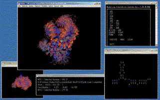 BioBox Release Version1.2.b 